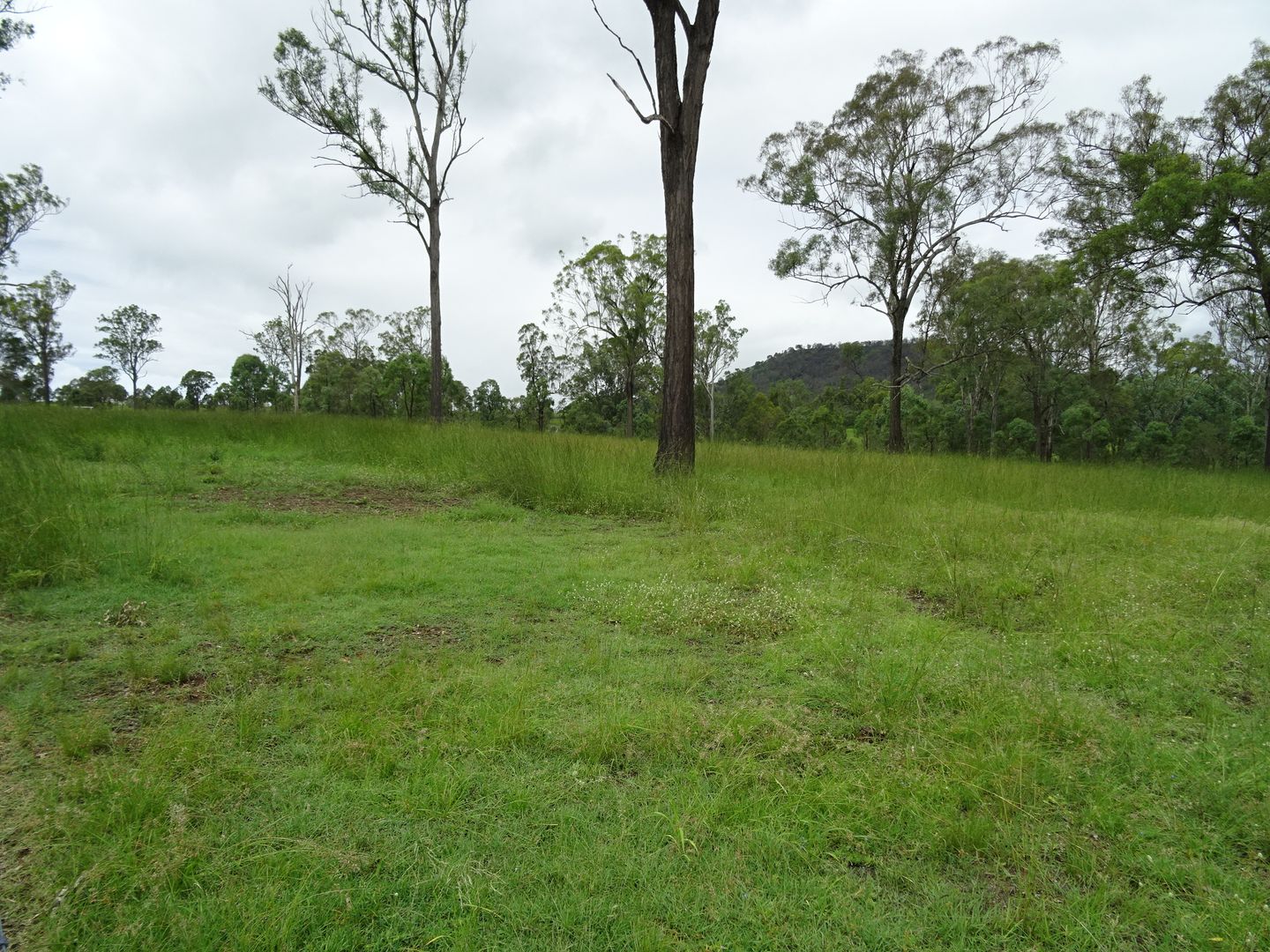 Dugandan QLD 4310, Image 2