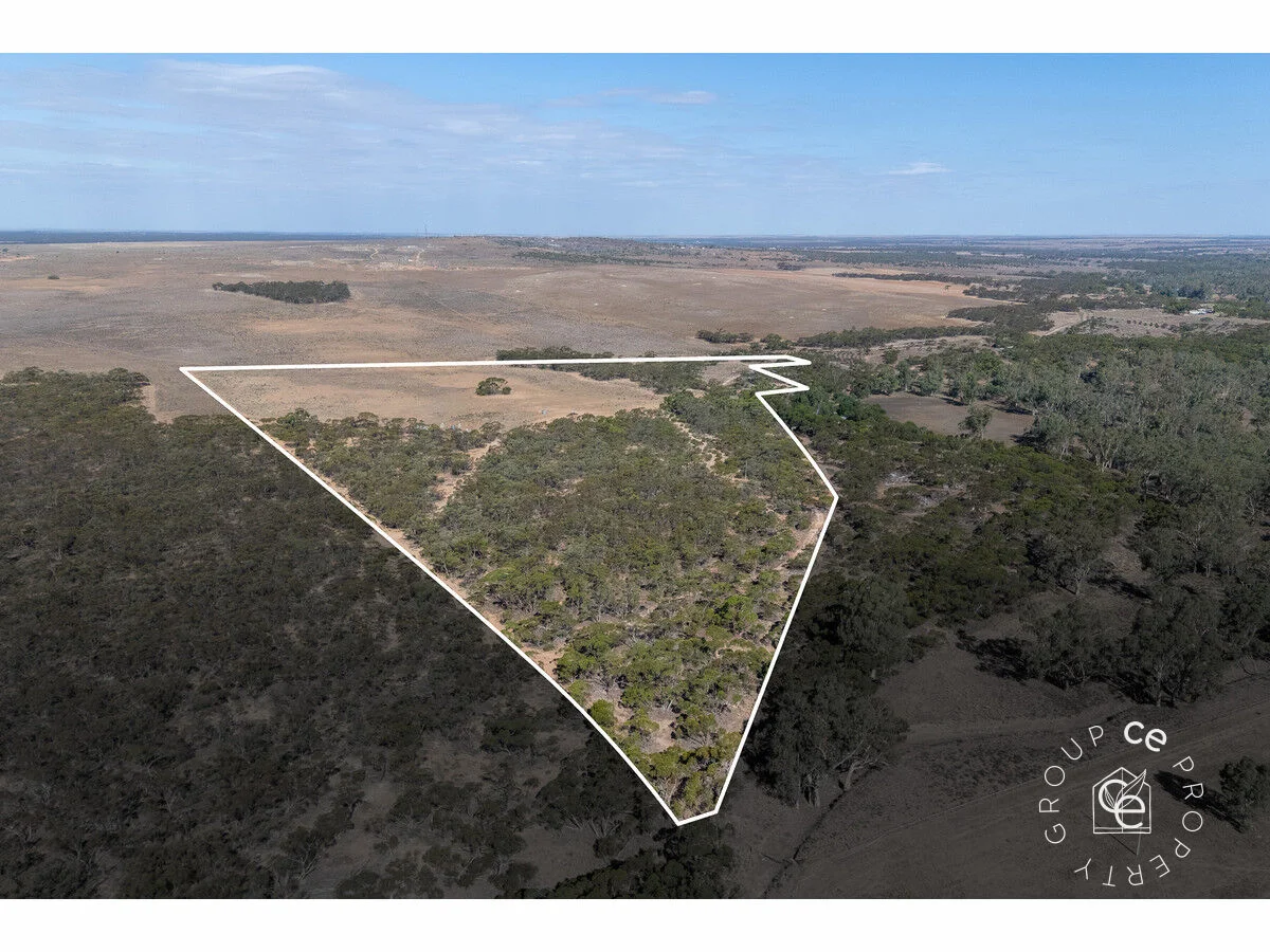 Additional image 25 of Lot 31 Black Hill Road, Cambrai SA 5353