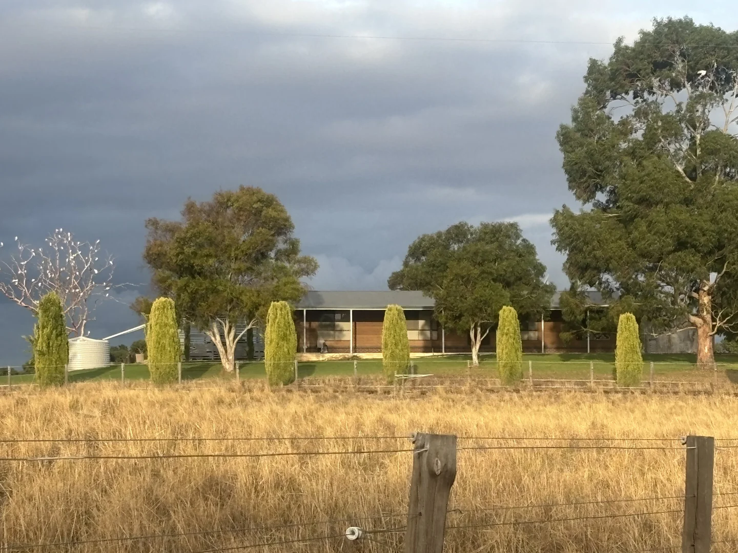 Image 7