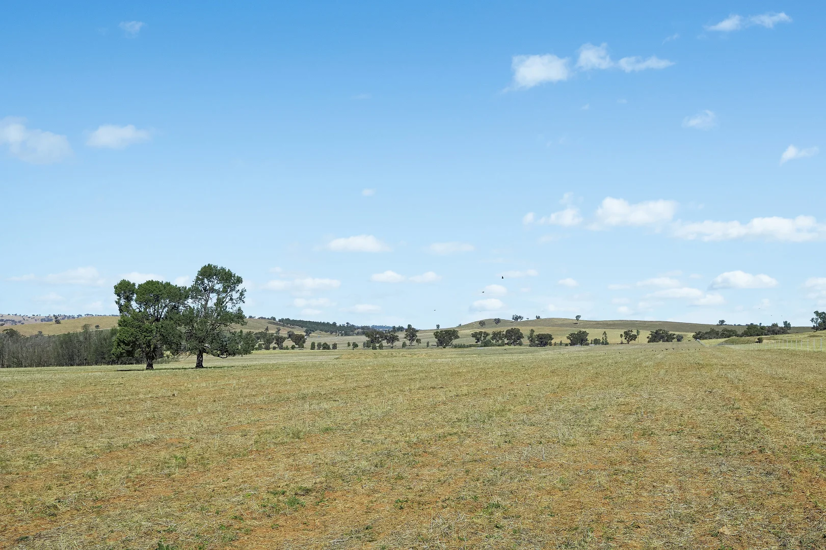 Image 31