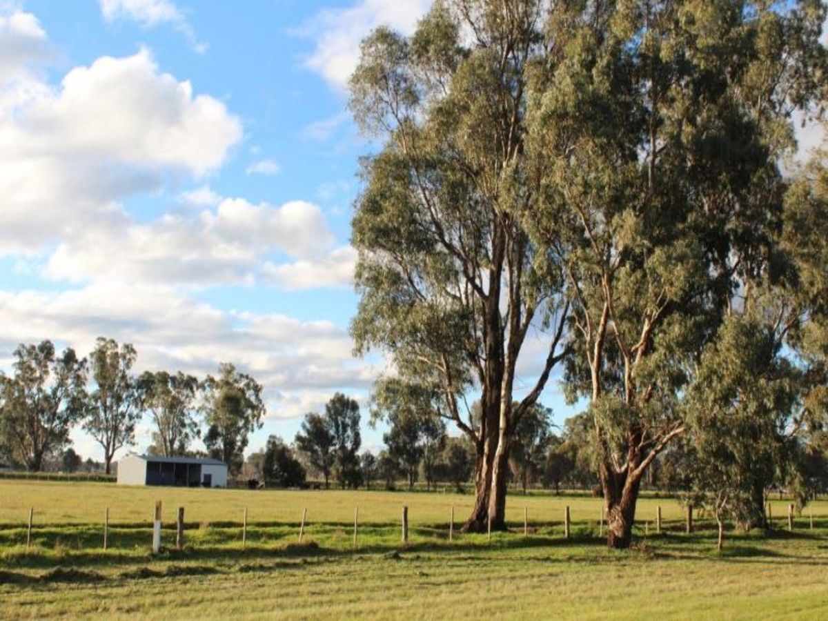 2197 Kerang Koondrook Road, Koondrook VIC 3580 Vacant Land for Sale