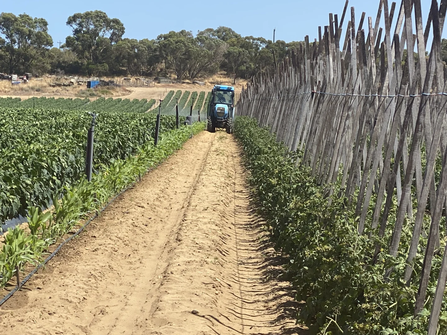 Additional image 22 of 440 Old Yanchep Road, Carabooda WA 6033