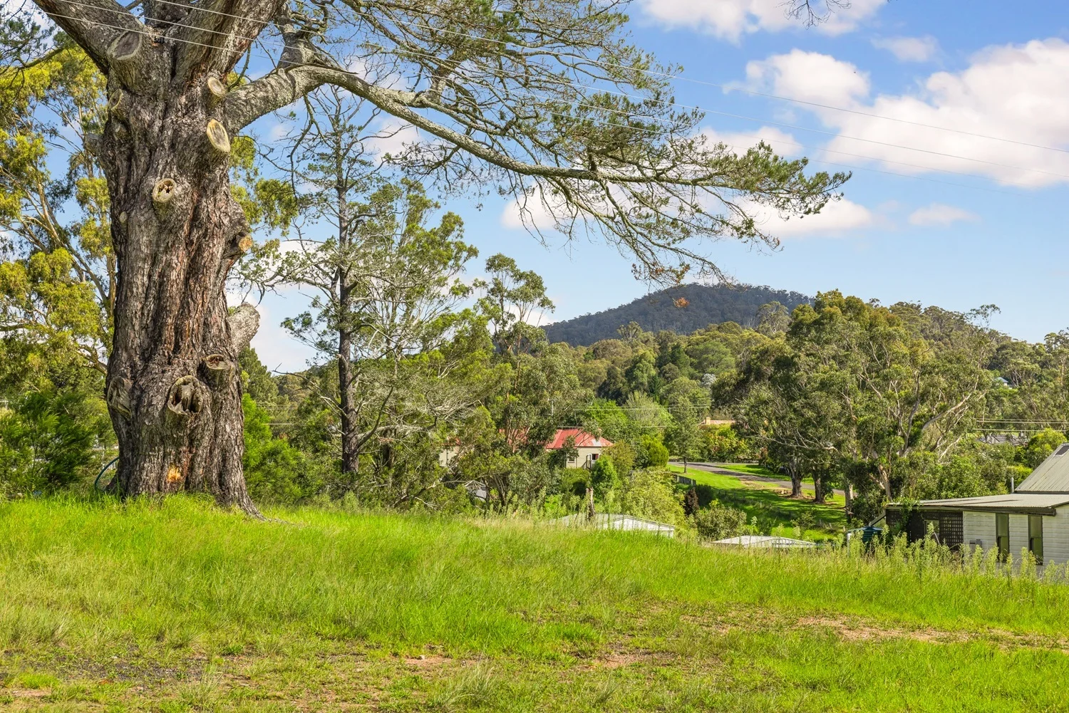 Additional image 5 of 11A Norwood Street, Wyndham NSW 2550