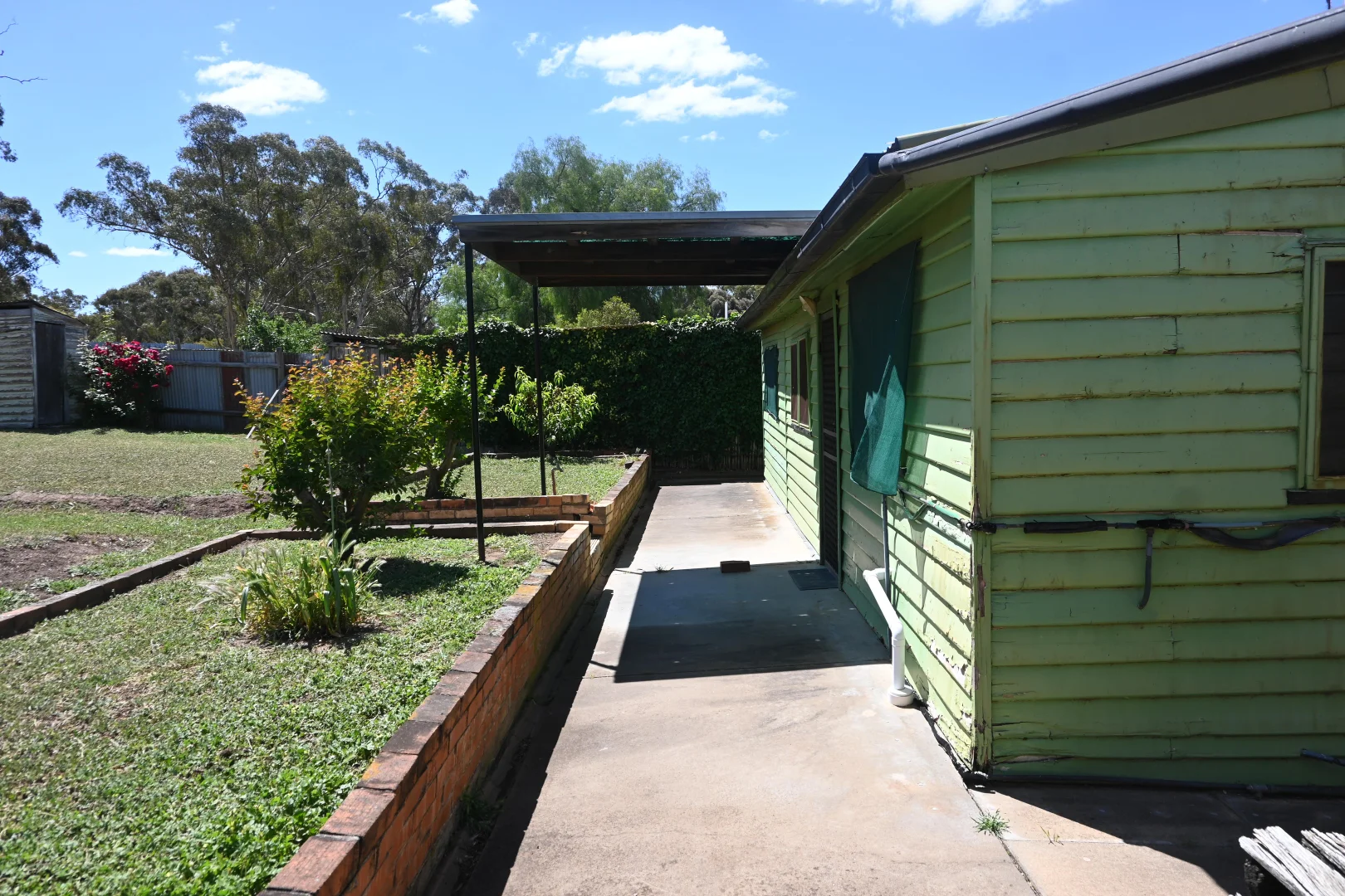 Image 15