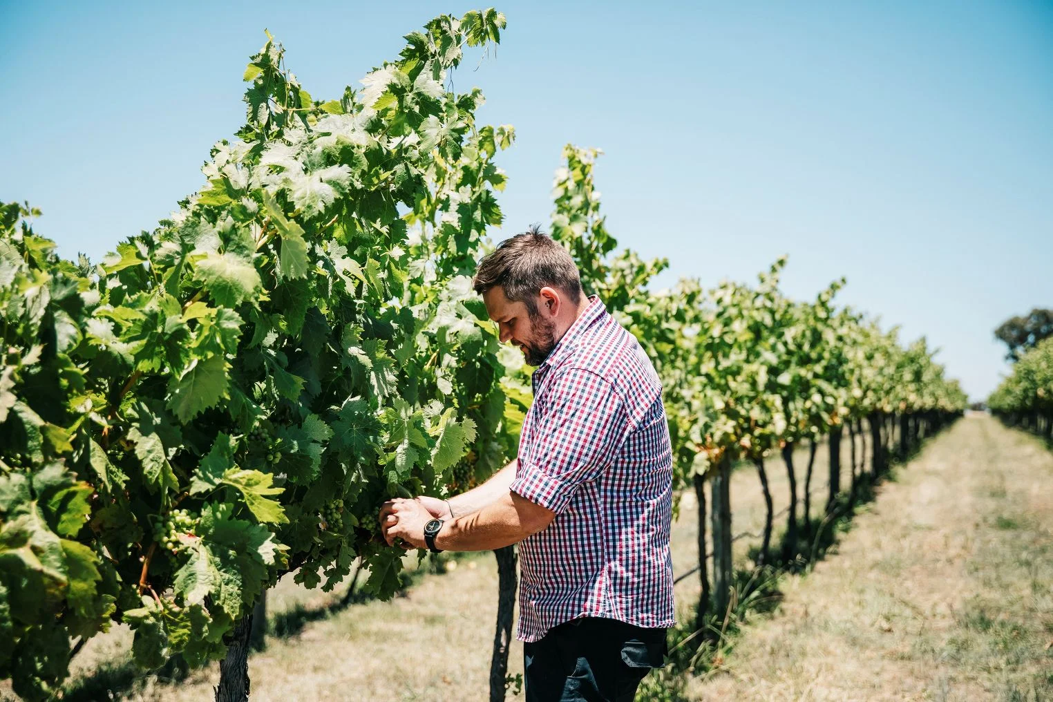 Additional image 20 of 9 Patemans Lane, Murrumbateman NSW 2582