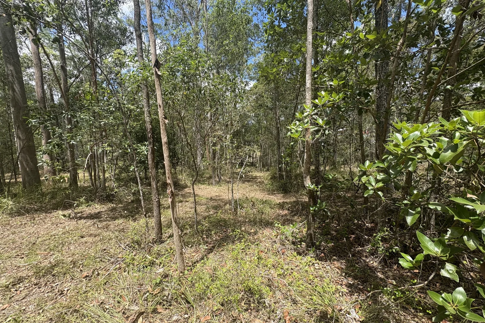 Additional image 6 of Lot 532 Arbornineteen Road, Glenwood QLD 4570