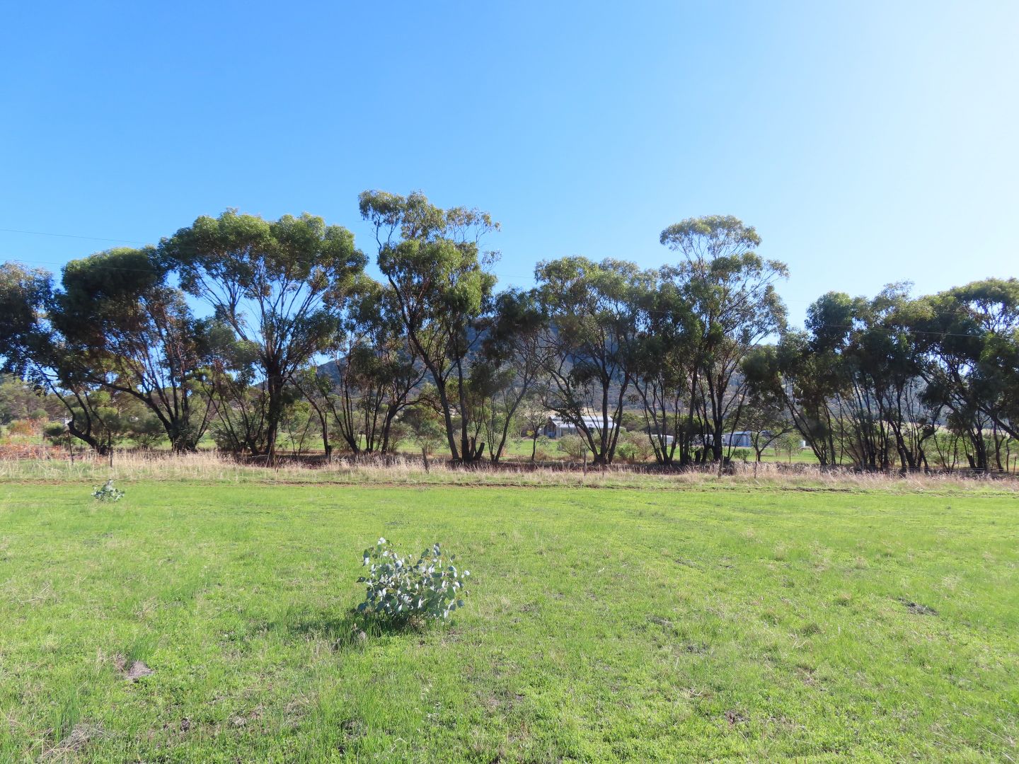 8 Carter Road, York WA 6302, Image 1