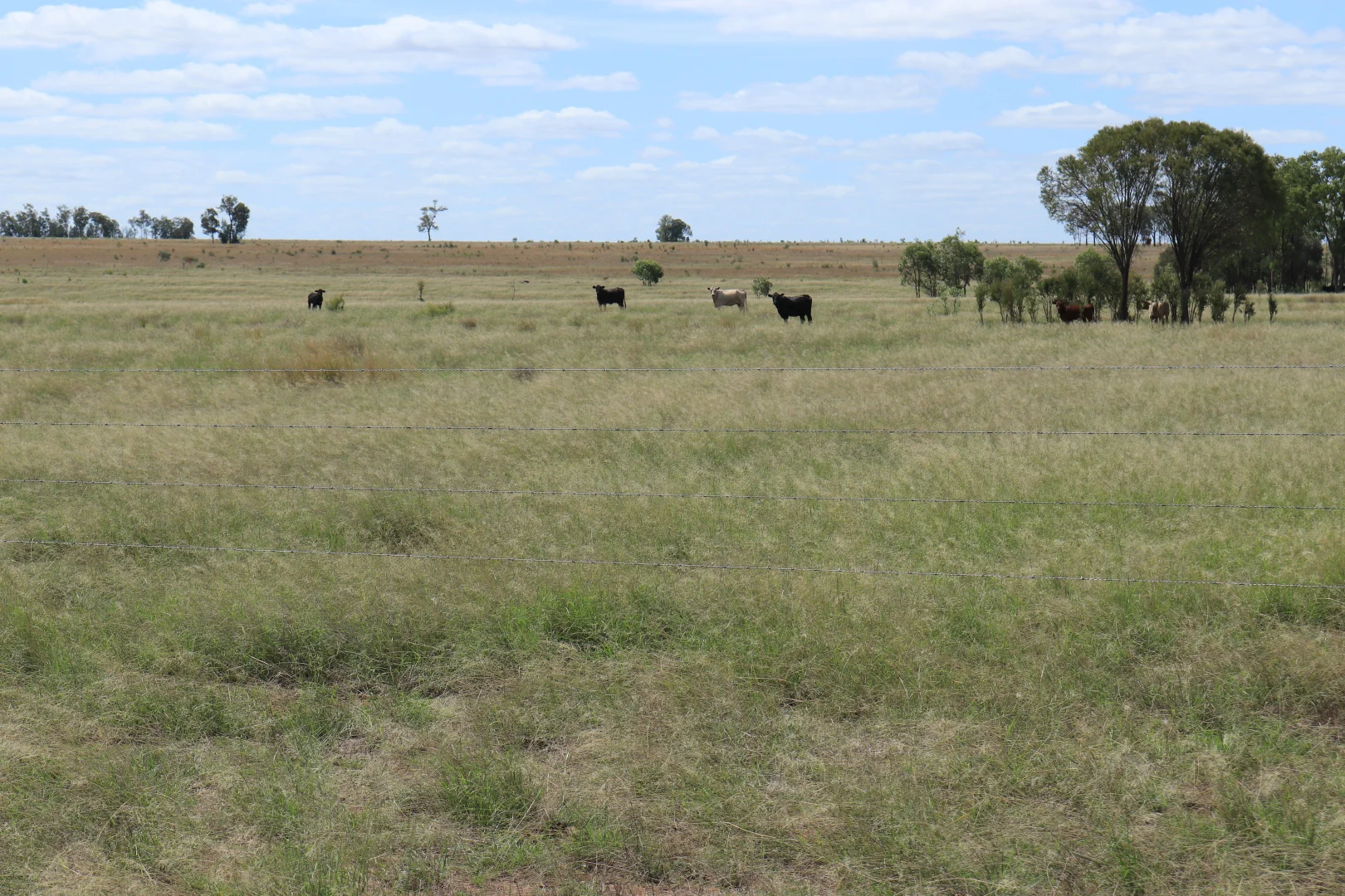 Additional image 9 of 952 Yuleba Surat Road, Yuleba QLD 4427