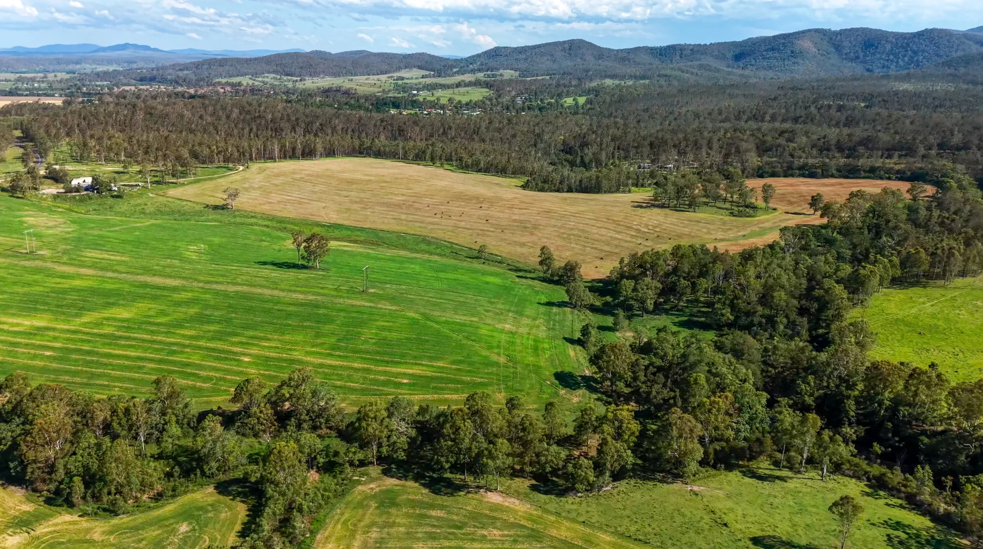 Additional image 19 of 119 Paddys Flat Road, Tabulam NSW 2469