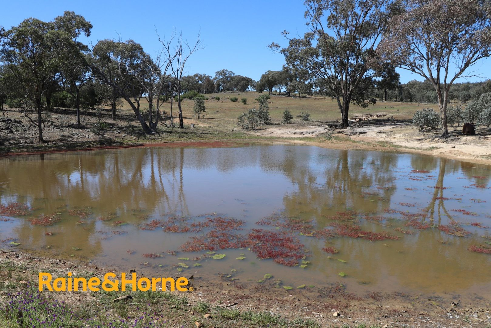 Koorawatha NSW 2807 House for Sale Domain