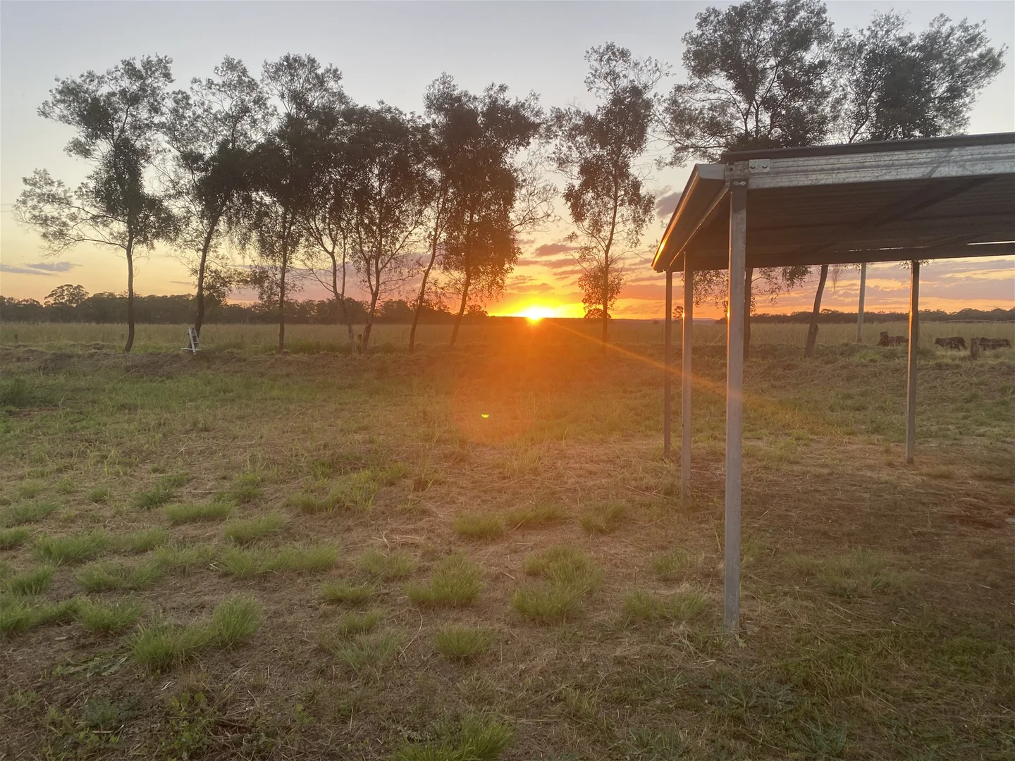 Additional image 4 of 53 Safflower st, Memerambi QLD 4610