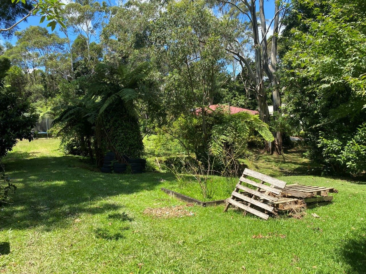 2281 Springbrook Road, Springbrook QLD 4213, Image 2