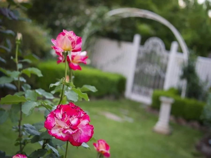 Additional image 16 of 19 Central Avenue, Balwyn North VIC 3104