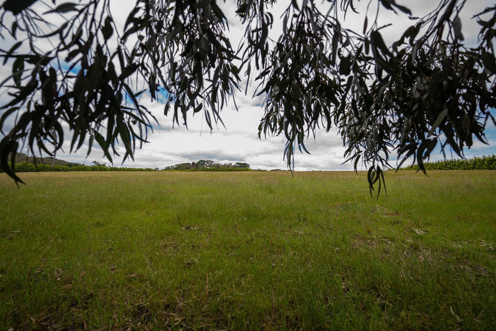 Lot 11 Callaghan Road, Berringa VIC 3351, Image 2