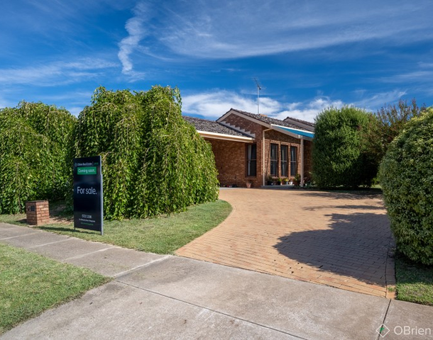 17 Skehan Avenue, Wangaratta VIC 3677