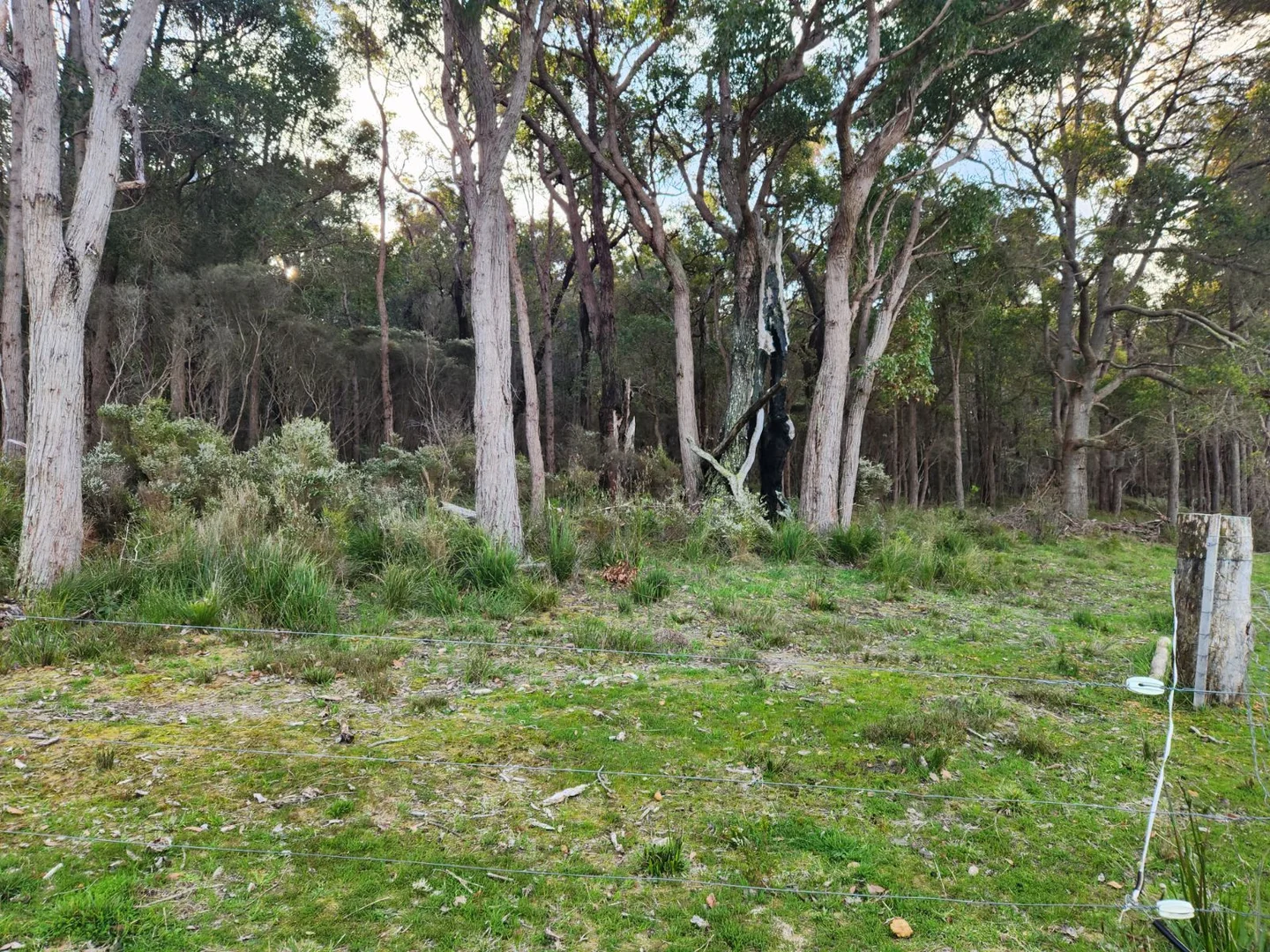 Image 18