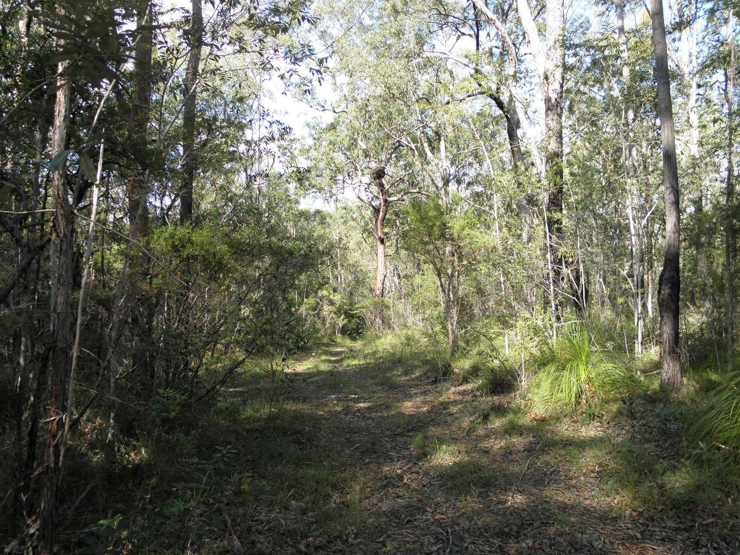 Lot 21 Stockyad Creek Road, Coaldale NSW 2460, Image 1