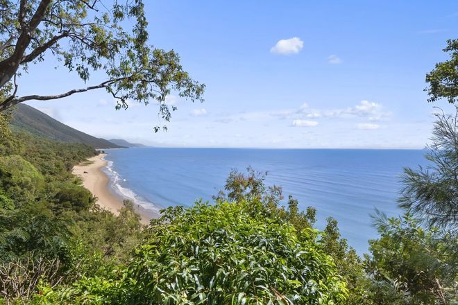 Picture of 6 Buchan Street, PALM COVE QLD 4879