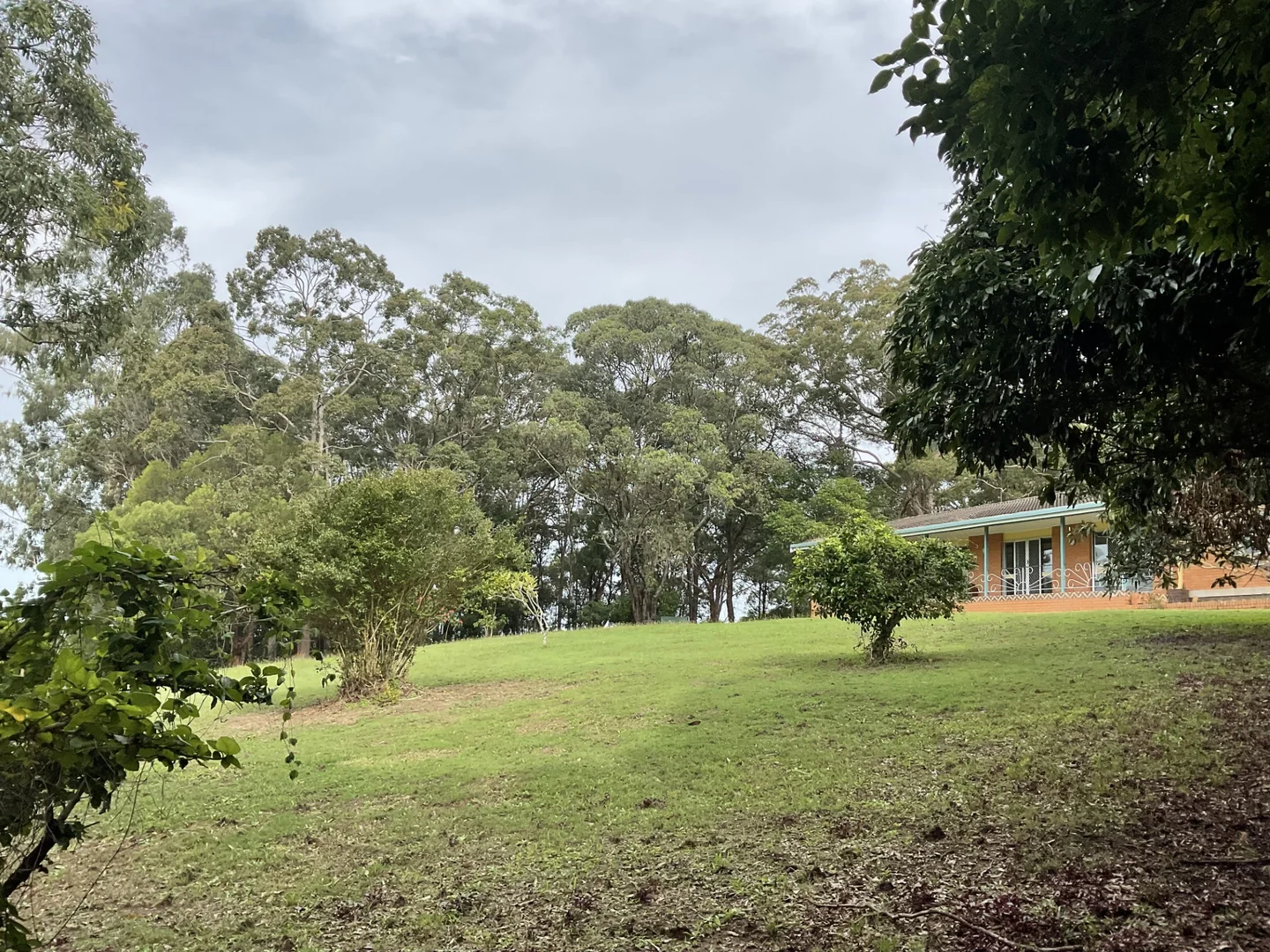 Image 13