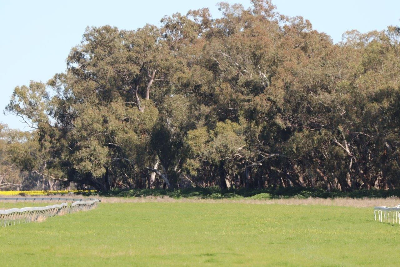 Image 17
