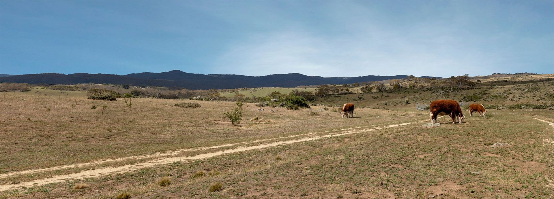 61 Carinya Lane, Jindabyne NSW 2627, Image 2