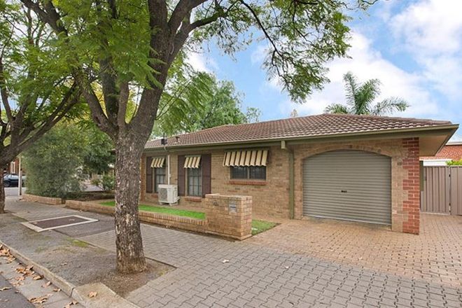 Picture of 82A Frederick Street, UNLEY SA 5061