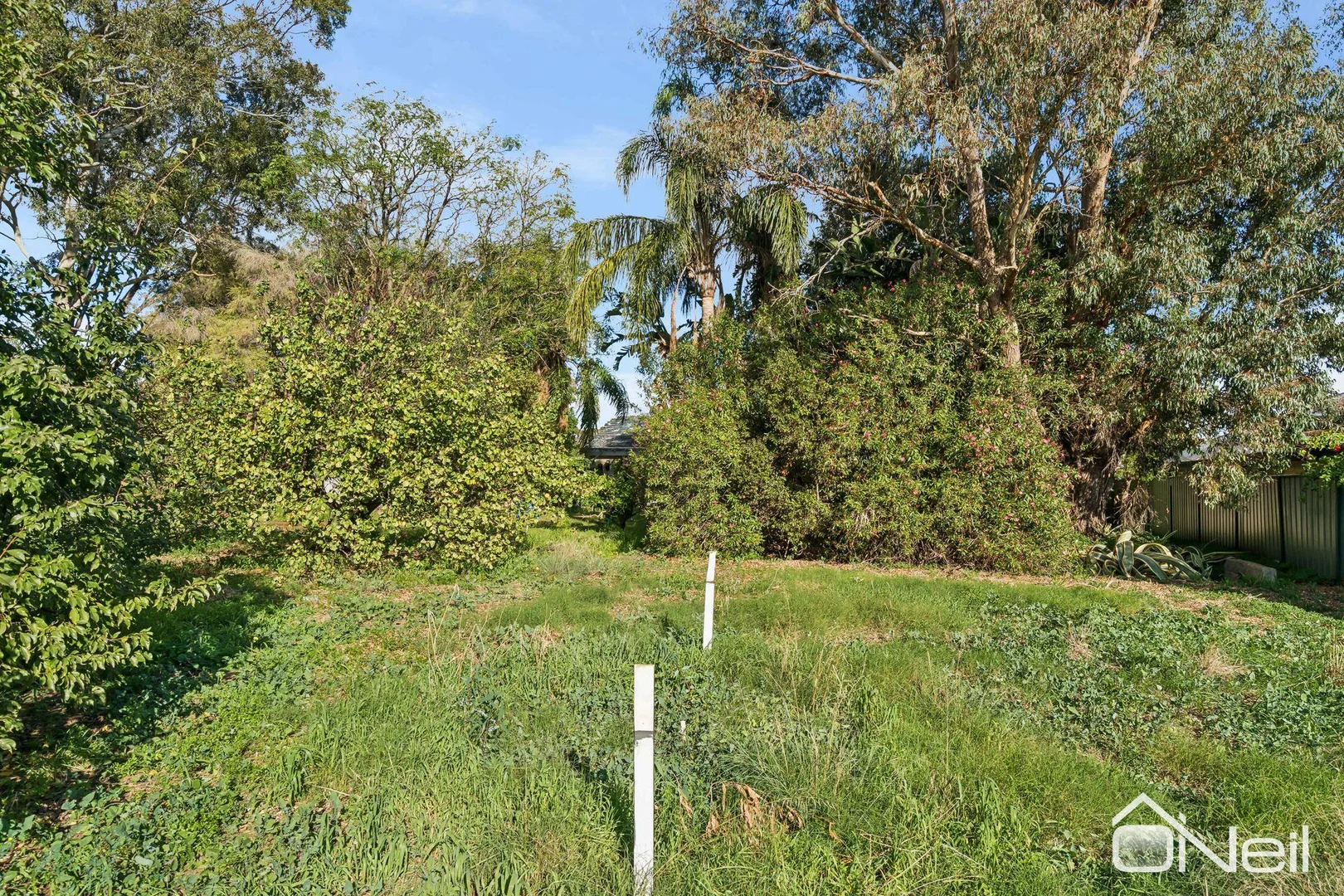 Image 36