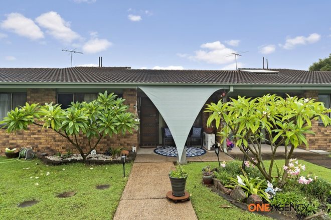 Picture of 5/5 Simpson Terrace, SINGLETON NSW 2330