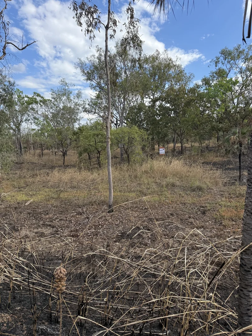 Image 13