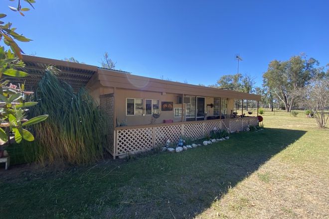 Picture of 203 Paddys Creek Road, MILLMERRAN QLD 4357