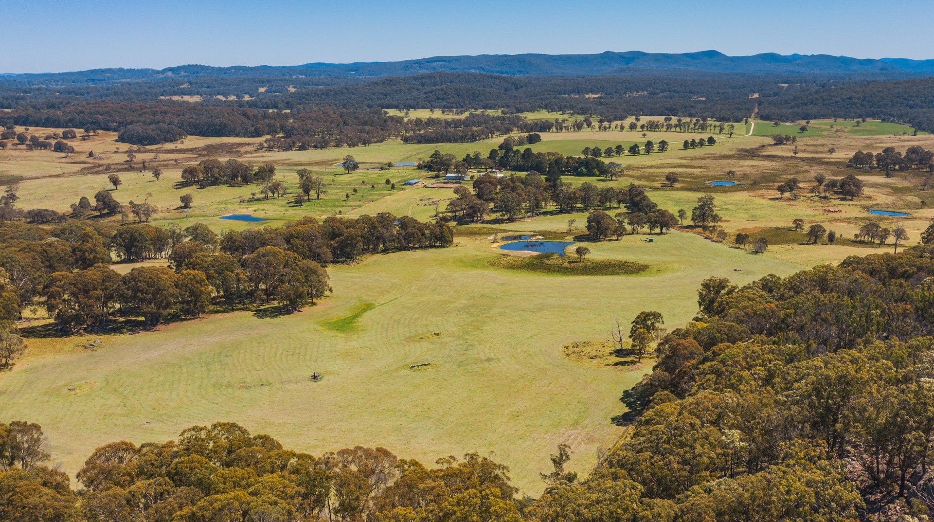 12343 Gwydir Highway, Glen Elgin NSW 2370, Image 0