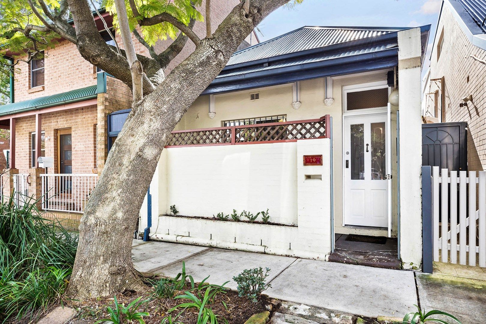 19 Renwick Street, Alexandria NSW 2015, Image 1