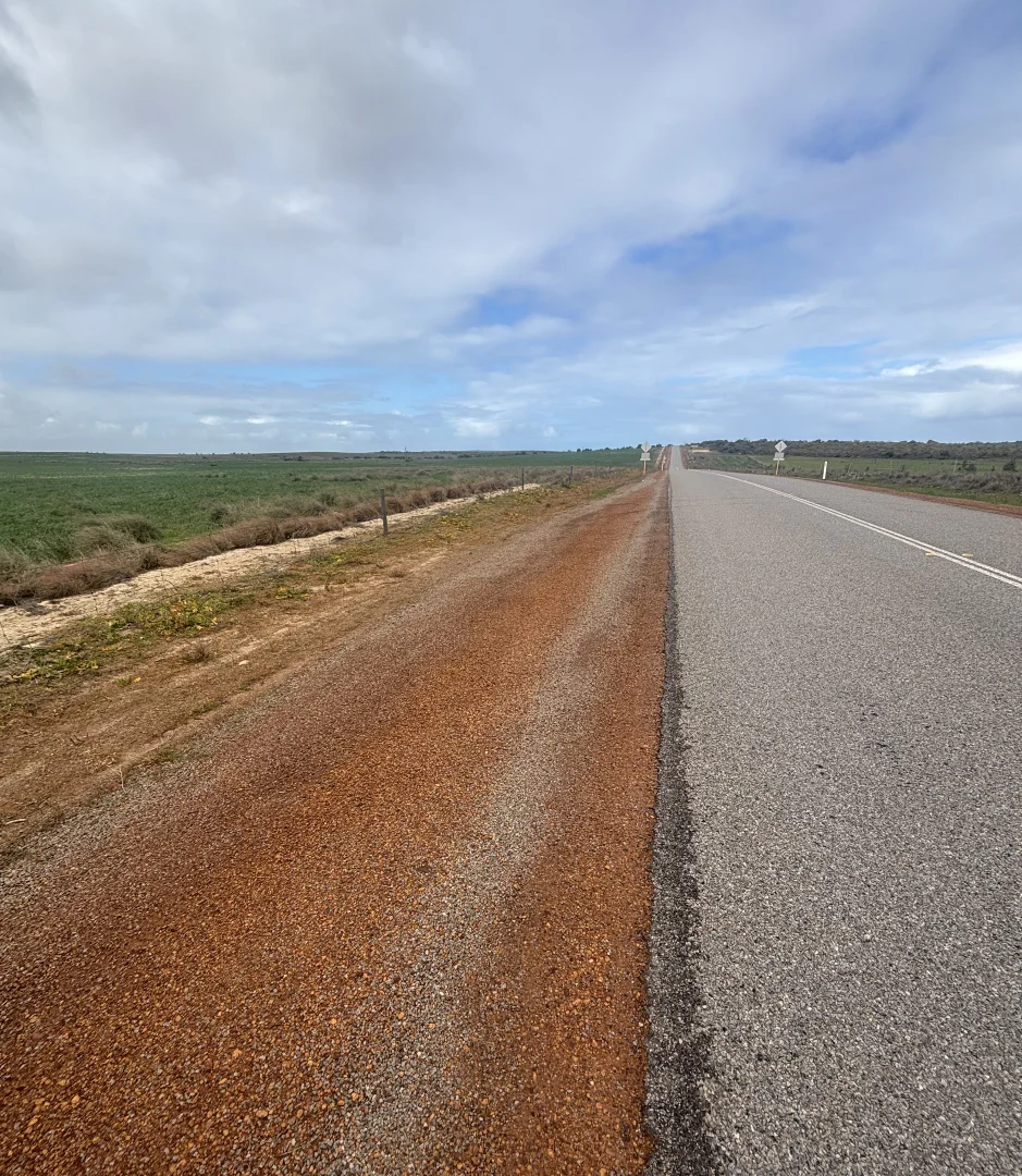 Image 11