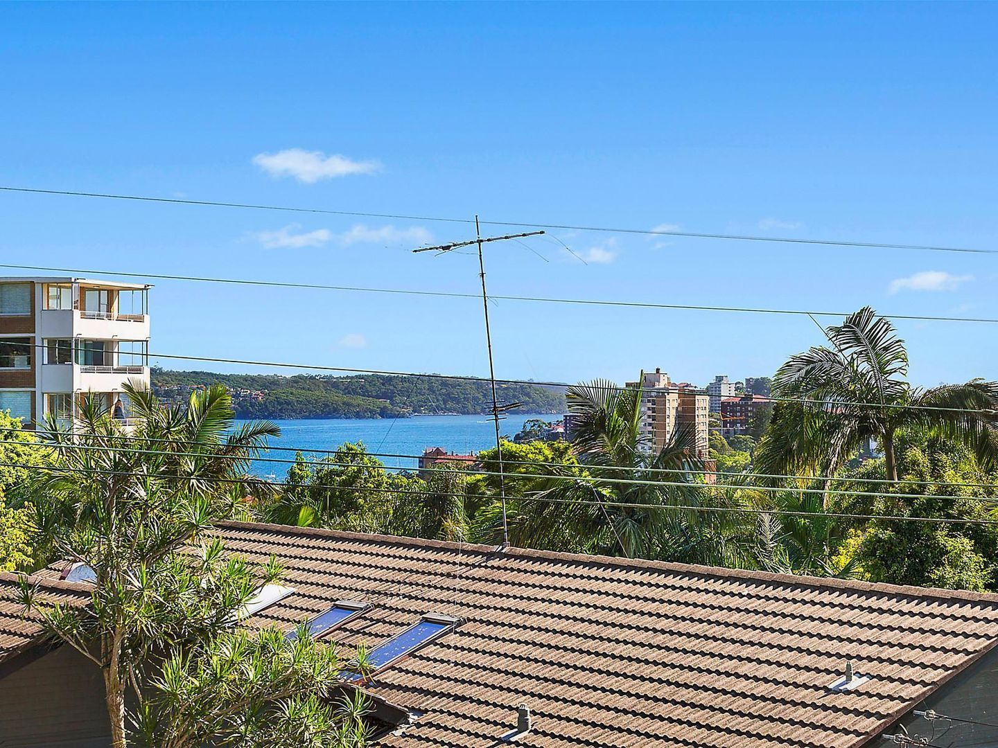 4/313A Edgecliff Road, Woollahra NSW 2025, Image 1