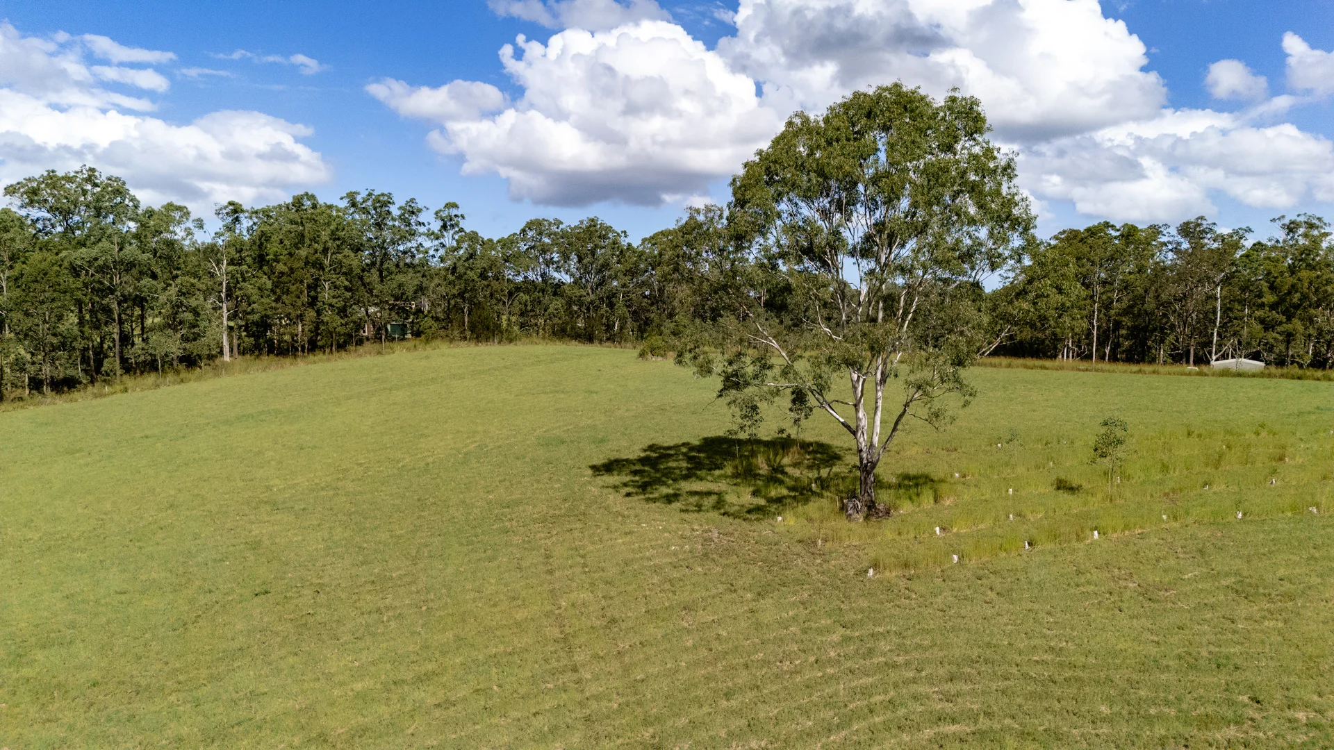 Additional image 6 of 778 Central Lansdowne Road, Upper Lansdowne NSW 2430