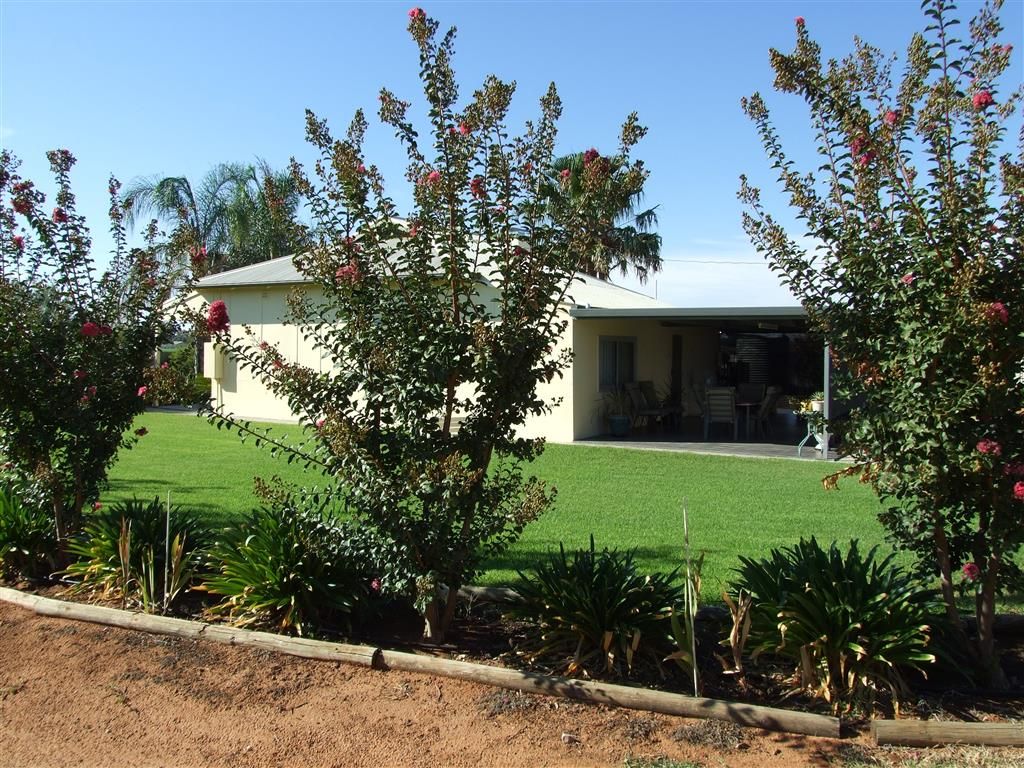 466 Tarcoola St, Renmark SA 5341, Image 2