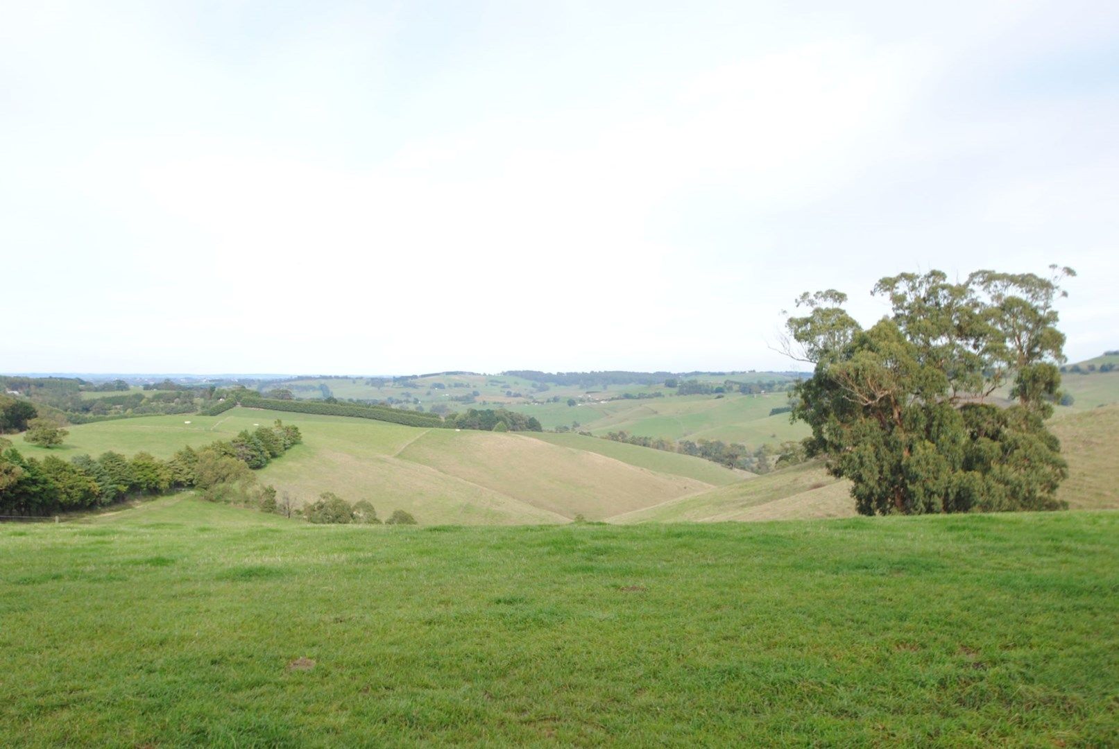 Lot 1 DAWSONS RD, Hallston VIC 3953, Image 0