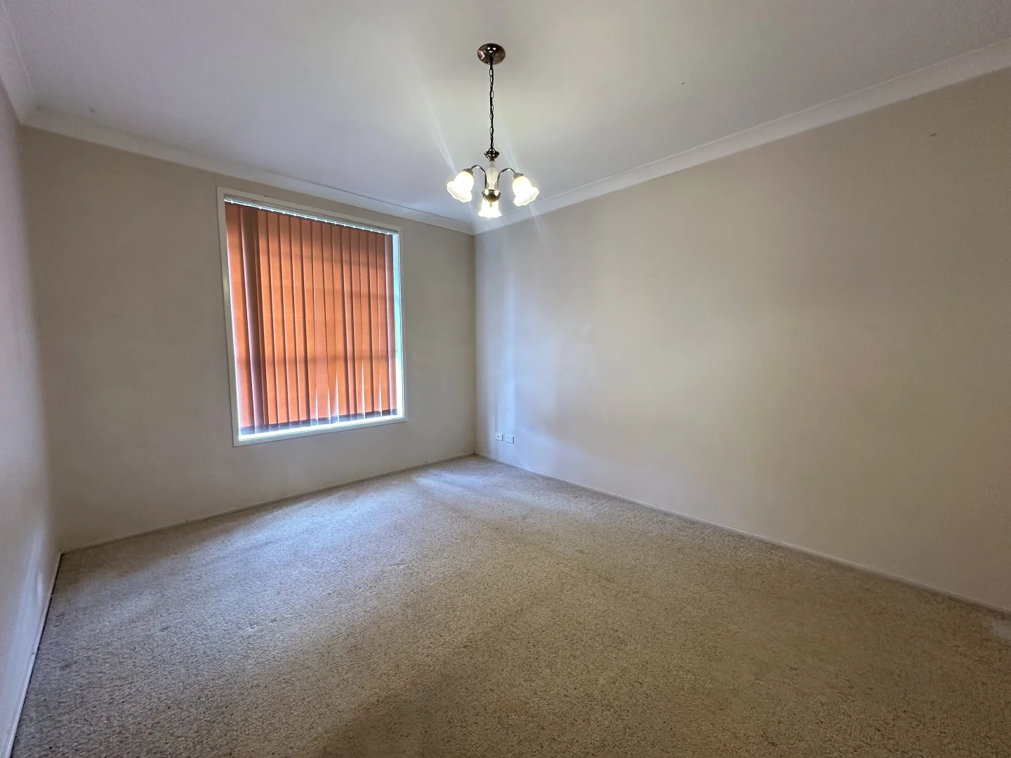 Additional image 12 of 1/24 Rawson Avenue, Tamworth NSW 2340