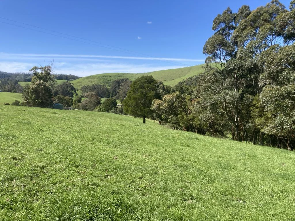 Image 8