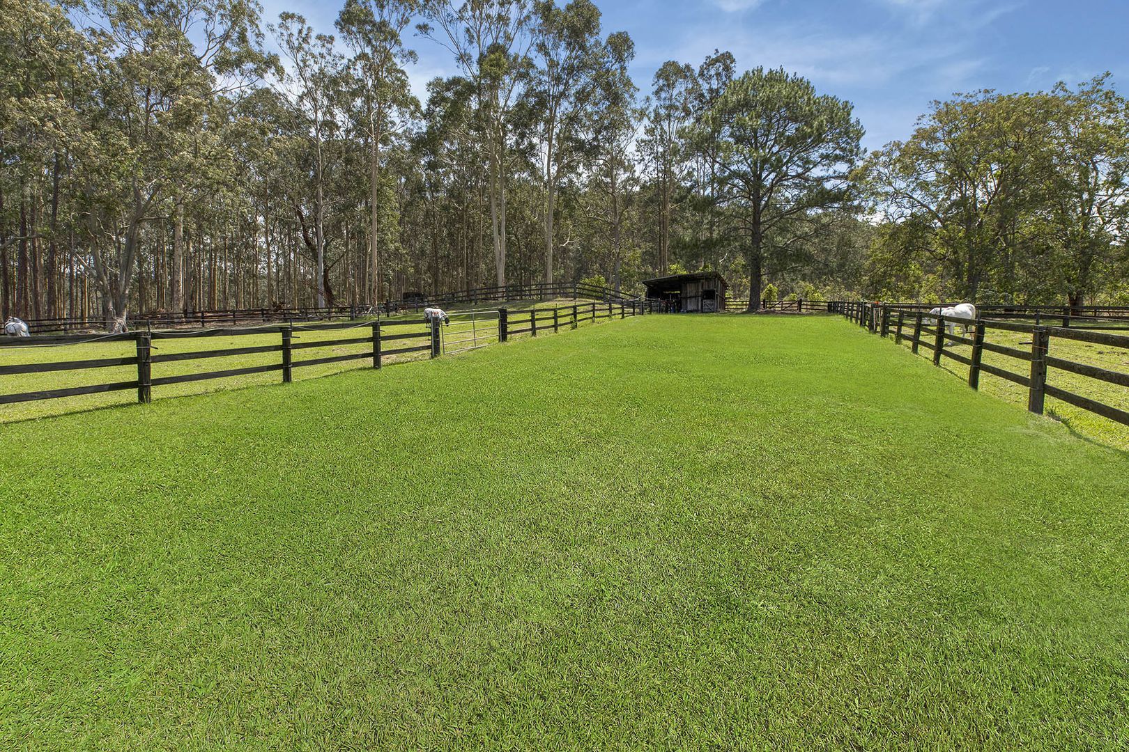 1086 Yarramalong Road, Wyong Creek NSW 2259 House for Sale Domain