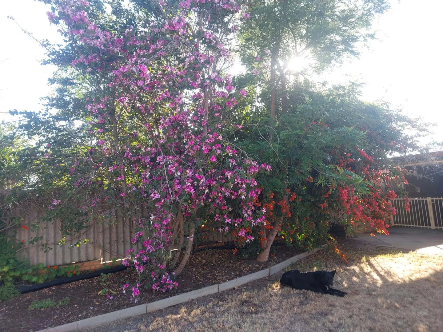 Additional image 16 of 17 Burnside Avenue, Northam WA 6401