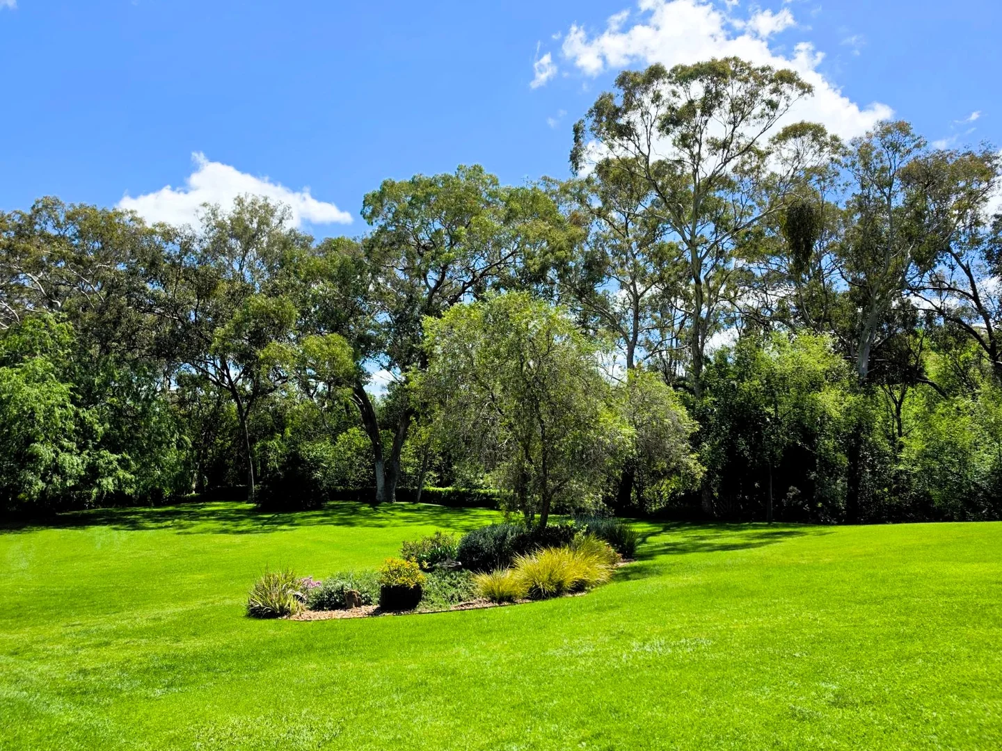 Young NSW 2594 - 4 beds house for Sale - 2021260675 | Domain