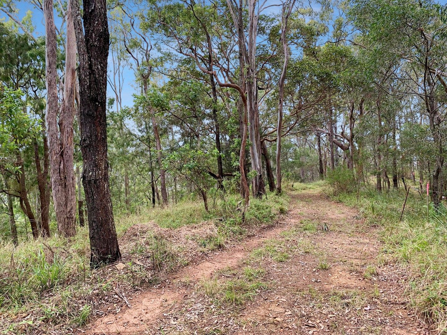 536 Jackson Road, Wamuran QLD 4512 Vacant Land for Sale Domain