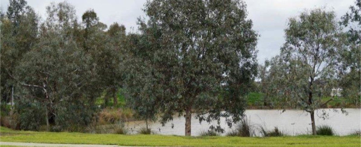 Lot 27 Purra Way, Shepparton VIC 3630, Image 2