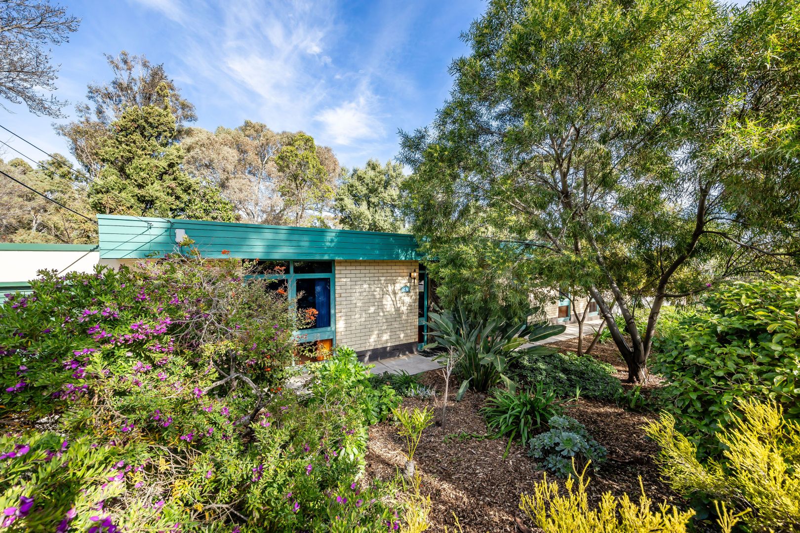 16 Janlyn Road, Vista SA 5091, Image 2