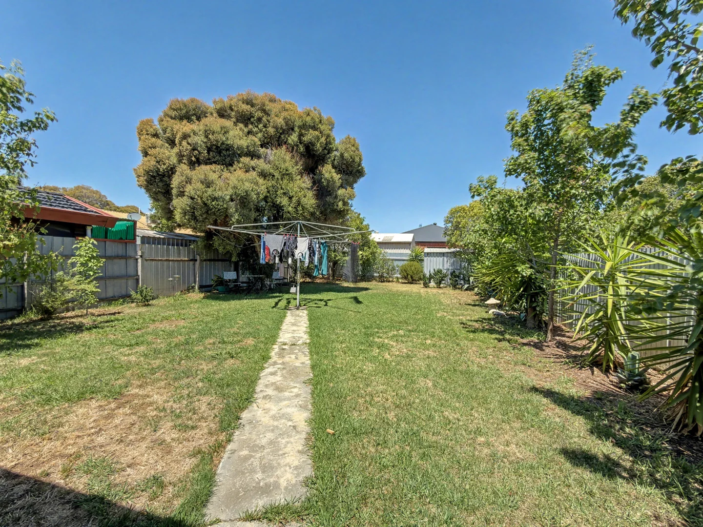 Image 14
