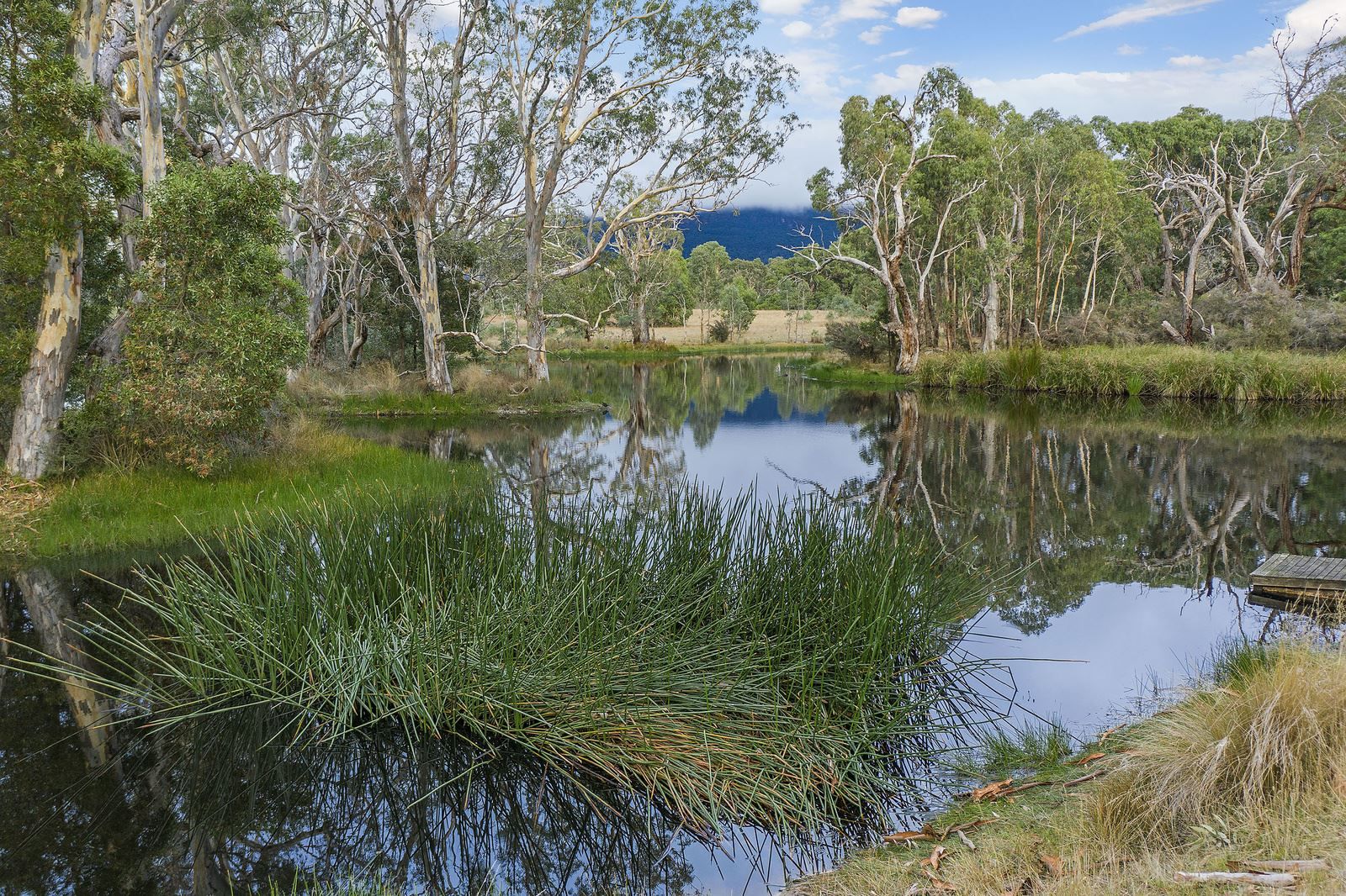 245 Wannon River Rd, Dunkeld VIC 3294, Image 2