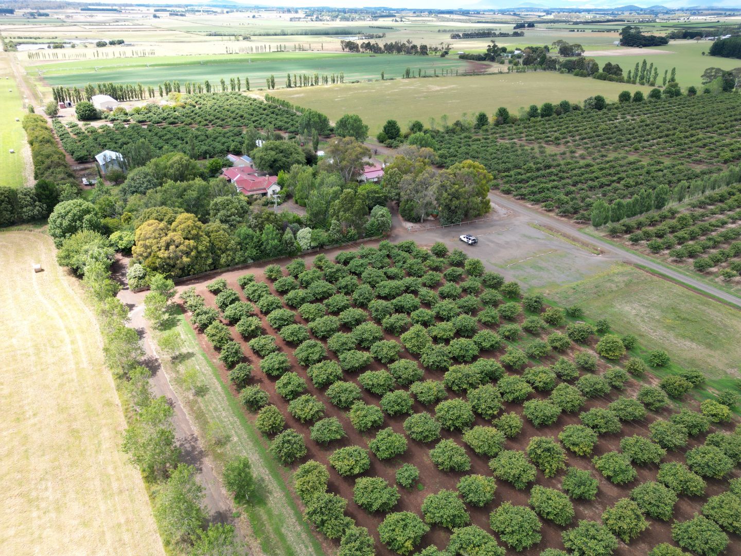 127 Hagley Station Lane, Hagley TAS 7292 House for Sale Domain