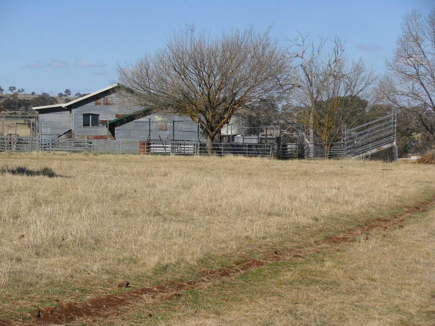 Armidale NSW 2350, Image 1