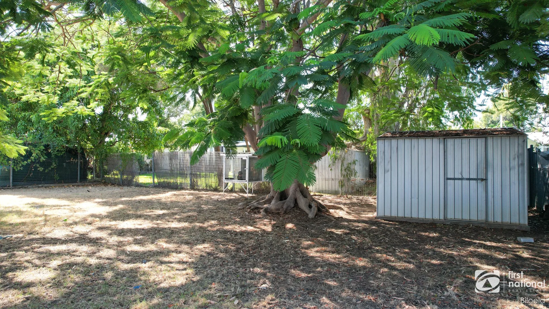 Image 10